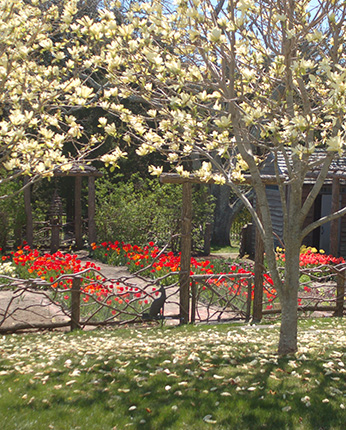 bridgehampton landscaping